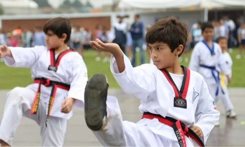 Beneficios del Taekwondo en el Desarrollo Infantil 